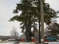Холми з panoramio.com