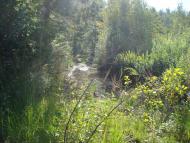 Мирча з panoramio.com