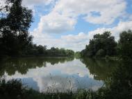 Ваганичі з panoramio.com