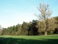 Печера з panoramio.com