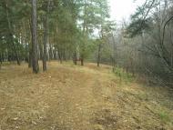 Тросне з panoramio.com