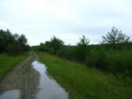 Старі Богородчани з panoramio.com