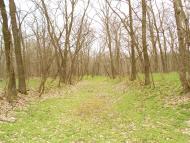 Орлівщина з panoramio.com - Орловщина