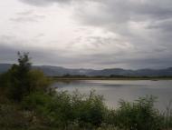 Гудя з panoramio.com