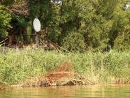 Новогришине з panoramio.com