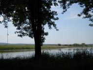 Руда-Крехівська з panoramio.com