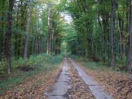 Лисогора з panoramio.com