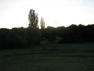 Ржищів з panoramio.com