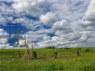 Жовтнівка - Останні фото