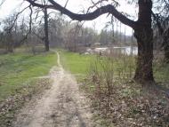 Цурків з panoramio.com