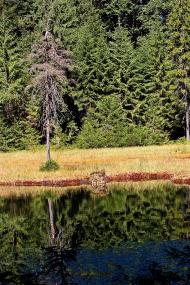 Заверхня Кичера з panoramio.com