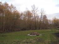 Кип'ячка з panoramio.com