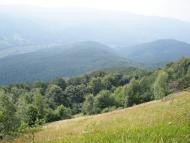 Кострина з panoramio.com