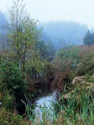 Мохначі з panoramio.com