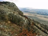 Мічурінське з panoramio.com