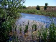 Гурівка з panoramio.com