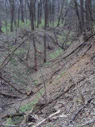 Розсошенці з panoramio.com