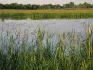 Дем'янці з panoramio.com