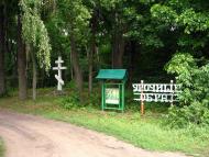Івахнівка з panoramio.com
