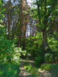 Устинкова Гребля з panoramio.com