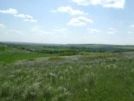 Лозне з panoramio.com