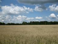 Дробишів з panoramio.com