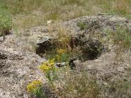 Річки з panoramio.com