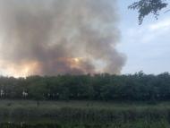 Новохортиця з panoramio.com