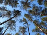 Полонне з panoramio.com