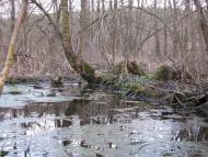 Кип'ячка з panoramio.com