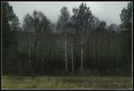 Кийлів з panoramio.com