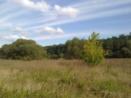 Чорногородка з panoramio.com