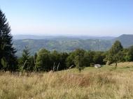 Косівська Поляна з panoramio.com