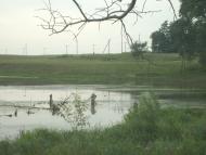 Смотрики з panoramio.com