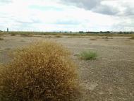 Совєтський з panoramio.com