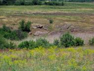 Гурівка з panoramio.com