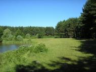 Козлин з panoramio.com