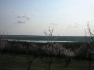 Дмитрівка з panoramio.com