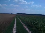 Романів з panoramio.com