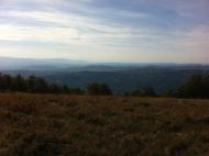 Вільховатий з panoramio.com