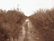 Старі Богородчани з panoramio.com