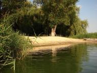 Новогришине з panoramio.com