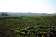 Веселоіванівське з panoramio.com