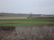 Веселоіванівське з panoramio.com