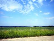 Руда-Крехівська - Останні фото