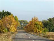 Волошинівка з panoramio.com