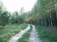 Мости з panoramio.com