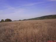 Чорногородка з panoramio.com