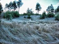 Медведівка з panoramio.com