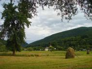 Забрідь з panoramio.com